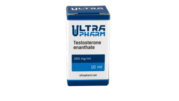 testosterone-enanthate-250-mg-1ml-10ml.png