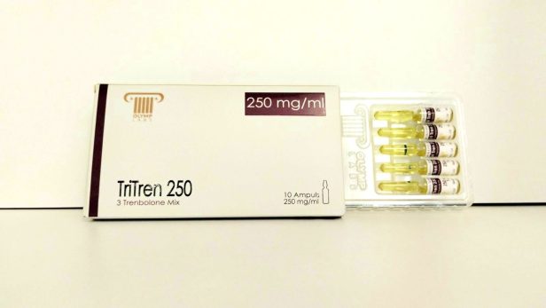 tri-tren-250-mg-1ml-1ml-amp.jpg